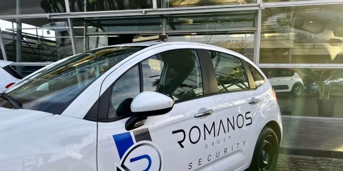 Professional Security Services-romanos